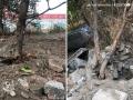 Navi Mumbai: Alert Citizens Prevent Illegal Tree Cutting in Kille Gaothan - Hindi News | Navi Mumbai: Alert Citizens Prevent Illegal Tree Cutting in Kille Gaothan | Latest navi-mumbai News at Lokmattimes.com