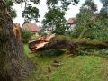 Thane: 2 injured, five houses damaged as tree falls in Kalyan - Hindi News | Thane: 2 injured, five houses damaged as tree falls in Kalyan | Latest maharashtra News at Lokmattimes.com