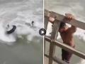 Uttar Pradesh: Two Youths Drown in Saharanpur Canal; Dramatic Video of Locals Trying to Save Them Goes Viral - Hindi News | Uttar Pradesh: Two Youths Drown in Saharanpur Canal; Dramatic Video of Locals Trying to Save Them Goes Viral | Latest national News at Lokmattimes.com