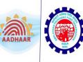 EPFO extends deadline to link Aadhaar number with UAN till Sept 1 - Hindi News | EPFO extends deadline to link Aadhaar number with UAN till Sept 1 | Latest national News at Lokmattimes.com
