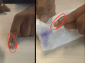 Maharashtra Municipal Election 2026: Controversy Erupts Over Erasable Marker Ink Used at Polling Booths - Hindi News | Maharashtra Municipal Election 2026: Controversy Erupts Over Erasable Marker Ink Used at Polling Booths | Latest maharashtra News at Lokmattimes.com