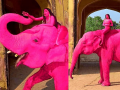Rajasthan: Russian Photographer Julia Buruleva Faces Backlash for Pink Elephant Shoot in Jaipur - Hindi News | Rajasthan: Russian Photographer Julia Buruleva Faces Backlash for Pink Elephant Shoot in Jaipur | Latest national News at Lokmattimes.com