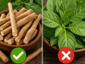 FSSAI Cracks Down on Ashwagandha Leaves, Bans Their Use in Nutraceuticals and Food Products - Hindi News | FSSAI Cracks Down on Ashwagandha Leaves, Bans Their Use in Nutraceuticals and Food Products | Latest lifestyle News at Lokmattimes.com