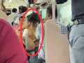 Mumbai AC Local Train: Half-Naked Man Sparks Panic in Virar–Churchgate Coach (Watch Video) - Hindi News | Mumbai AC Local Train: Half-Naked Man Sparks Panic in Virar–Churchgate Coach (Watch Video) | Latest mumbai News at Lokmattimes.com