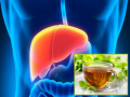 How to Reduce Risks of Liver Diseases? These 5 Natural Drinks Can Help - Hindi News | How to Reduce Risks of Liver Diseases? These 5 Natural Drinks Can Help | Latest health News at Lokmattimes.com