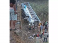 Telangana Road Accident: Several Injured After TGSRTC Bus Overturns into Dry Canal in Adilabad - Hindi News | Telangana Road Accident: Several Injured After TGSRTC Bus Overturns into Dry Canal in Adilabad | Latest national News at Lokmattimes.com