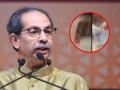 Maharashtra Municipal Election 2026: Uddhav Thackeray Questions Election Commission’s Functioning Amid Removable Ink Controversy - Hindi News | Maharashtra Municipal Election 2026: Uddhav Thackeray Questions Election Commission’s Functioning Amid Removable Ink Controversy | Latest maharashtra News at Lokmattimes.com