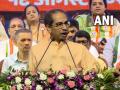 Maharashtra Assembly Election 2024: Will Back Any Candidate Announced by Congress, NCP-SP As CM Face of MVA, Says Uddhav Thackeray - Hindi News | Maharashtra Assembly Election 2024: Will Back Any Candidate Announced by Congress, NCP-SP As CM Face of MVA, Says Uddhav Thackeray | Latest maharashtra News at Lokmattimes.com