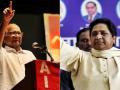 Sharad Pawar says, no decision on BSP's inclusion in I.N.D.I.A until clarity on whose side Mayawati is - Hindi News | Sharad Pawar says, no decision on BSP's inclusion in I.N.D.I.A until clarity on whose side Mayawati is | Latest maharashtra News at Lokmattimes.com