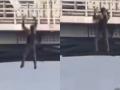 Uttar Pradesh: Man Seen Doing Pull-Ups While Hanging from Bridge on Delhi–Lucknow Highway, Video Surfaced - Hindi News | Uttar Pradesh: Man Seen Doing Pull-Ups While Hanging from Bridge on Delhi–Lucknow Highway, Video Surfaced | Latest national News at Lokmattimes.com