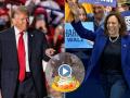 US Election 2024: Thailand's Hippo Moo Deng Predicts Donald Trump Victory Over Kamala Harris (Watch Viral Video) - Hindi News | US Election 2024: Thailand's Hippo Moo Deng Predicts Donald Trump Victory Over Kamala Harris (Watch Viral Video) | Latest social-viral News at Lokmattimes.com