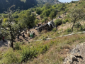 Uttarakhand Bus Accident: Five Dead and 17 Injured After Bus Falls Into Gorge In Tehri - Hindi News | Uttarakhand Bus Accident: Five Dead and 17 Injured After Bus Falls Into Gorge In Tehri | Latest national News at Lokmattimes.com