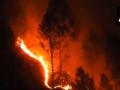 Uttarakhand Forest Blaze: Rising Heatwave Sparks Wildfires in Nanital (Watch Video) - Hindi News | Uttarakhand Forest Blaze: Rising Heatwave Sparks Wildfires in Nanital (Watch Video) | Latest national News at Lokmattimes.com