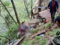 Uttarakhand Helicopter Crash: 4 Tourists Killed, Two Injured As Chopper Crashes Near Uttarkashi Forest - Hindi News | Uttarakhand Helicopter Crash: 4 Tourists Killed, Two Injured As Chopper Crashes Near Uttarkashi Forest | Latest national News at Lokmattimes.com