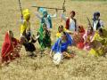 3-day Baisakhi mela to begin from April 12, security beefed up in Bathinda - Hindi News | 3-day Baisakhi mela to begin from April 12, security beefed up in Bathinda | Latest entertainment News at Lokmattimes.com