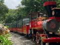 Sanjay Gandhi National Park Toy Train: Mumbai’s Van Rani To Set to Return on This Date at SGNP (See Pics and Video) - Hindi News | Sanjay Gandhi National Park Toy Train: Mumbai’s Van Rani To Set to Return on This Date at SGNP (See Pics and Video) | Latest mumbai News at Lokmattimes.com