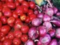 Vegetable Price Hike: Onion Prices Surge Amid Supply Shortages, Tomato Prices Plummet with Increased Supply - Hindi News | Vegetable Price Hike: Onion Prices Surge Amid Supply Shortages, Tomato Prices Plummet with Increased Supply | Latest maharashtra News at Lokmattimes.com