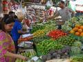 Vegetable Price Hike in Maharashtra: Fluctuating Climate Raises Prices of Peas, Cauliflower and other Greens; Check Rates - Hindi News | Vegetable Price Hike in Maharashtra: Fluctuating Climate Raises Prices of Peas, Cauliflower and other Greens; Check Rates | Latest maharashtra News at Lokmattimes.com