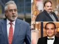 ED gives banks ₹9,371 crore assets seized from Vijay Mallya, Nirav Modi, Mehul Choksi - Hindi News | ED gives banks ₹9,371 crore assets seized from Vijay Mallya, Nirav Modi, Mehul Choksi | Latest national News at Lokmattimes.com