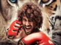 Politician's black money invested in Vijay Deverakonda's Liger? - Hindi News | Politician's black money invested in Vijay Deverakonda's Liger? | Latest entertainment News at Lokmattimes.com