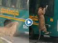 Viral Leopard Video: Passengers in Awe as Big Cat Climbs Bus at Karnataka's Bannerghatta Biological Park - Hindi News | Viral Leopard Video: Passengers in Awe as Big Cat Climbs Bus at Karnataka's Bannerghatta Biological Park | Latest social-viral News at Lokmattimes.com
