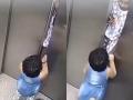 Watch: Young Girl Saves Two Kids From Getting Stuck into Elevator; CCTV Footage Emerges - Hindi News | Watch: Young Girl Saves Two Kids From Getting Stuck into Elevator; CCTV Footage Emerges | Latest social-viral News at Lokmattimes.com