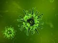 HMPV Virus in Maharashtra: Two Children Test Positive for Human Metapneumovirus in Nagpur - Hindi News | HMPV Virus in Maharashtra: Two Children Test Positive for Human Metapneumovirus in Nagpur | Latest nagpur News at Lokmattimes.com