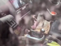 Vrindavan: Pet Dog Dies of Suffocation After Being Left in Locked Car While Owners Visited Temple (Watch Video) - Hindi News | Vrindavan: Pet Dog Dies of Suffocation After Being Left in Locked Car While Owners Visited Temple (Watch Video) | Latest national News at Lokmattimes.com