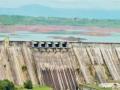 Nashik: Water Crisis Deepens as Dams Remain Nearly Dry at 7.68% - Hindi News | Nashik: Water Crisis Deepens as Dams Remain Nearly Dry at 7.68% | Latest nashik News at Lokmattimes.com