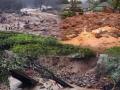 Wayanad Landslides: Death Toll Climbs to 143; Bad Weather Disrupts Rescue Operation in Kerala - Hindi News | Wayanad Landslides: Death Toll Climbs to 143; Bad Weather Disrupts Rescue Operation in Kerala | Latest national News at Lokmattimes.com