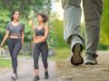 Lose 3-4 kg in a Month by Walking for Just 1 Hour a Day – Here’s How! - Hindi News | Lose 3-4 kg in a Month by Walking for Just 1 Hour a Day – Here’s How! | Latest lifestyle News at Lokmattimes.com