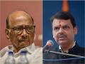NCP chief Sharad Pawar reacts to Deputy CM Devendra Fadnavis's statement - Hindi News | NCP chief Sharad Pawar reacts to Deputy CM Devendra Fadnavis's statement | Latest maharashtra News at Lokmattimes.com