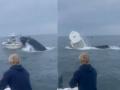 US: Whale Topples Boat, Throws Fishermen Into Sea Off New Hampshire Coast; Video Goes Viral - Hindi News | US: Whale Topples Boat, Throws Fishermen Into Sea Off New Hampshire Coast; Video Goes Viral | Latest social-viral News at Lokmattimes.com