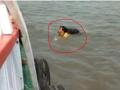 Video! Man falls from boat into sea, survives - Hindi News | Video! Man falls from boat into sea, survives | Latest maharashtra News at Lokmattimes.com