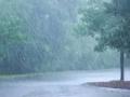 Nashik Weather Update: Light to Moderate Rainfall and Gusty Winds Forecasted for Next Three Days - Hindi News | Nashik Weather Update: Light to Moderate Rainfall and Gusty Winds Forecasted for Next Three Days | Latest nashik News at Lokmattimes.com