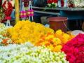 Nashik: Flower Prices Soar by 30-40% Due to Decreased Supply and High Demand - Hindi News | Nashik: Flower Prices Soar by 30-40% Due to Decreased Supply and High Demand | Latest nashik News at Lokmattimes.com
