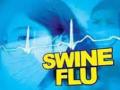 Nashik Faces Dual Health Crisis: Over 100 Swine Flu Cases Amid Ongoing Dengue Outbreak - Hindi News | Nashik Faces Dual Health Crisis: Over 100 Swine Flu Cases Amid Ongoing Dengue Outbreak | Latest nashik News at Lokmattimes.com