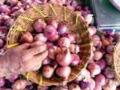 Nashik Onion Prices Skyrocket to Rs 70 per Kg Amid Crop Delays from October Rain - Hindi News | Nashik Onion Prices Skyrocket to Rs 70 per Kg Amid Crop Delays from October Rain | Latest nashik News at Lokmattimes.com