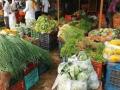 Onion Price Hike in Nashik: Vegetable Rate Soars to Rs 90 Per Kg Post-Festive Season - Hindi News | Onion Price Hike in Nashik: Vegetable Rate Soars to Rs 90 Per Kg Post-Festive Season | Latest nashik News at Lokmattimes.com