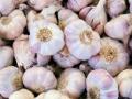 Nashik: As Prices Soar, Over 1,000 kg of Garlic Worth Rs 3.5 Lakh Stolen From Panchvati Area - Hindi News | Nashik: As Prices Soar, Over 1,000 kg of Garlic Worth Rs 3.5 Lakh Stolen From Panchvati Area | Latest nashik News at Lokmattimes.com