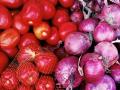 Nashik: Kharif Onion Prices Spike as Tomato Rates Plunge - Hindi News | Nashik: Kharif Onion Prices Spike as Tomato Rates Plunge | Latest nashik News at Lokmattimes.com