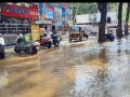 Heavy Rain and Strong Winds Hit Nashik; Trees Uprooted, Houses Damaged, Roads Flooded - Hindi News | Heavy Rain and Strong Winds Hit Nashik; Trees Uprooted, Houses Damaged, Roads Flooded | Latest nashik News at Lokmattimes.com