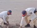 Nashik Traffic Police Officers Fill Pothole on Mumbai-Agra Highway - Hindi News | Nashik Traffic Police Officers Fill Pothole on Mumbai-Agra Highway | Latest nashik News at Lokmattimes.com