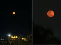 Mumbai Lunar Eclipse 2026: City Residents Witness Rare Blood Moon Amid Holi Celebrations (Watch Video) - Hindi News | Mumbai Lunar Eclipse 2026: City Residents Witness Rare Blood Moon Amid Holi Celebrations (Watch Video) | Latest mumbai News at Lokmattimes.com