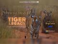 Maharashtra's Tiger Epic: How Tadoba Became the Setting for India's Most Ambitious Wildlife Series - Hindi News | Maharashtra's Tiger Epic: How Tadoba Became the Setting for India's Most Ambitious Wildlife Series | Latest maharashtra News at Lokmattimes.com