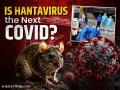 Is Hantavirus the Next COVID? What We Know About the MV Hondius Outbreak So Far - Hindi News | Is Hantavirus the Next COVID? What We Know About the MV Hondius Outbreak So Far | Latest health News at Lokmattimes.com