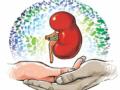 50 Organ Donors from Maharashtra Save Lives of 149 Individuals - Hindi News | 50 Organ Donors from Maharashtra Save Lives of 149 Individuals | Latest maharashtra News at Lokmattimes.com