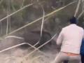Wild Boar Attack in UP: Forest Officer Injured After Being Bitten in Badaun; Dramatic Video Surfaces - Hindi News | Wild Boar Attack in UP: Forest Officer Injured After Being Bitten in Badaun; Dramatic Video Surfaces | Latest social-viral News at Lokmattimes.com