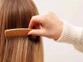 Here's Why You Should Switch to a Wooden Comb for Hair Care - Hindi News | Here's Why You Should Switch to a Wooden Comb for Hair Care | Latest lifestyle News at Lokmattimes.com