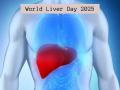 World Liver Day 2025: Food to Eat and Avoid for a Strong, Healthy Liver - Hindi News | World Liver Day 2025: Food to Eat and Avoid for a Strong, Healthy Liver | Latest health News at Lokmattimes.com